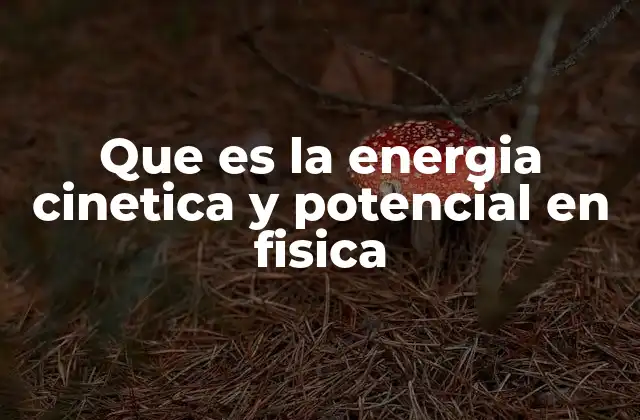 Que es la Energia Cinetica y Potencial en Fisica