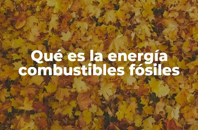 Qué es la Energía Combustibles Fósiles