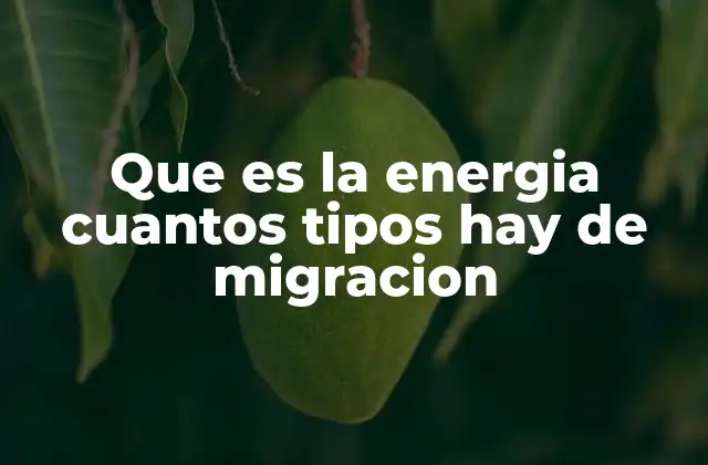 El papel de la energía y la migración en el desarrollo sostenible