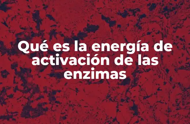 Qué es la Energía de Activación de las Enzimas