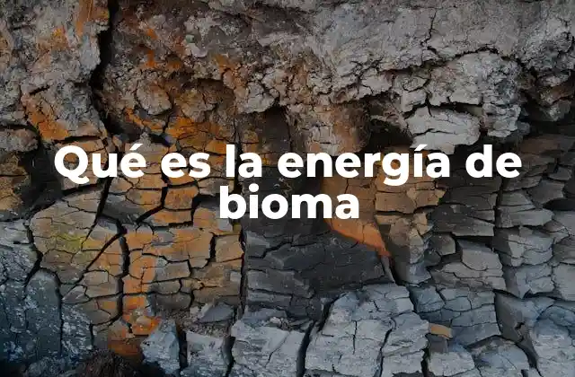 La energía en los ecosistemas y su relación con los biomas