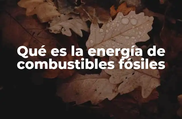 Qué es la Energía de Combustibles Fósiles