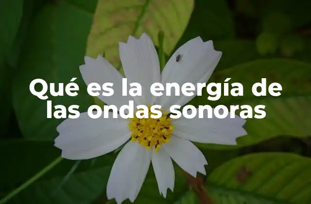 El papel de las vibraciones en la energía sonora