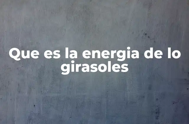 Que es la Energia de Lo Girasoles
