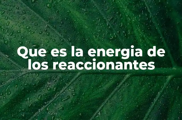 Que es la Energia de los Reaccionantes