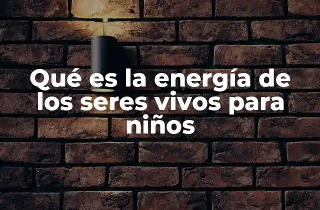 Cómo los seres vivos obtienen energía