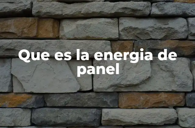 Que es la Energia de Panel