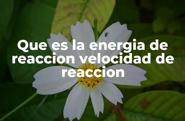 Que es la Energia de Reaccion Velocidad de Reaccion