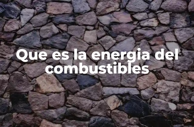 Que es la Energia Del Combustibles