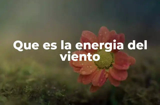 Que es la Energia Del Viento