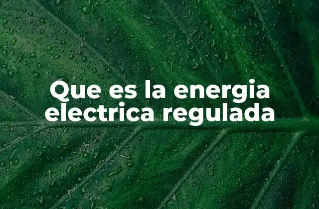 Que es la Energia Electrica Regulada