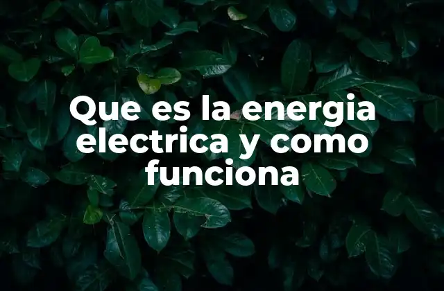 Que es la Energia Electrica y como Funciona