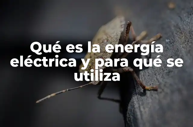Qué es la Energía Eléctrica y para Qué Se Utiliza