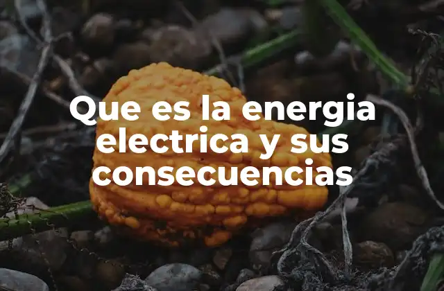El papel de la energía en la vida cotidiana