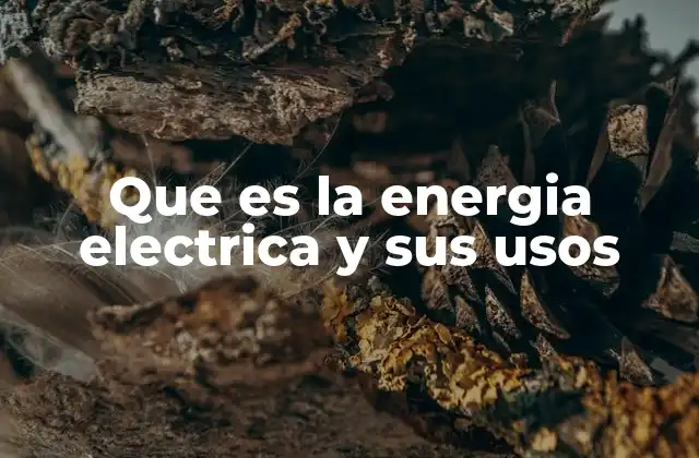 Que es la Energia Electrica y Sus Usos