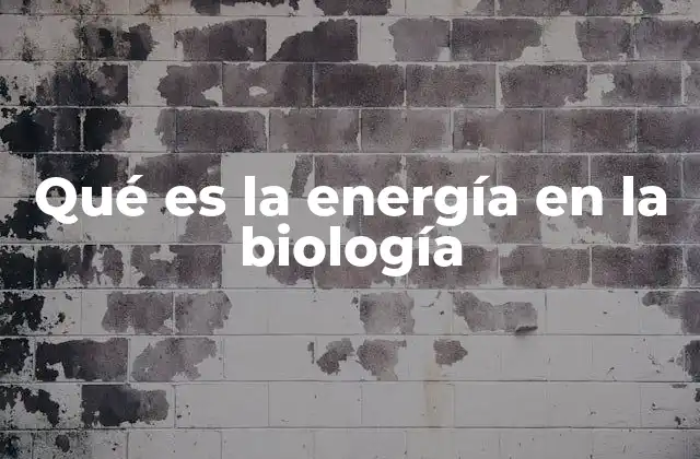 Qué es la Energía en la Biología