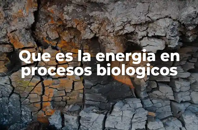 Que es la Energia en Procesos Biologicos