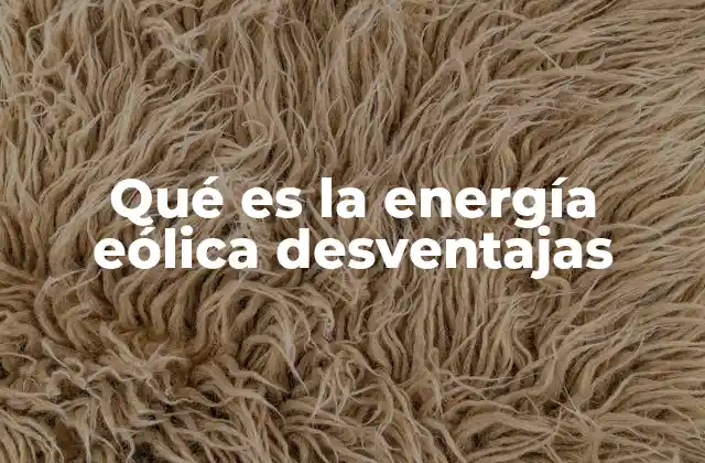 Qué es la Energía Eólica Desventajas