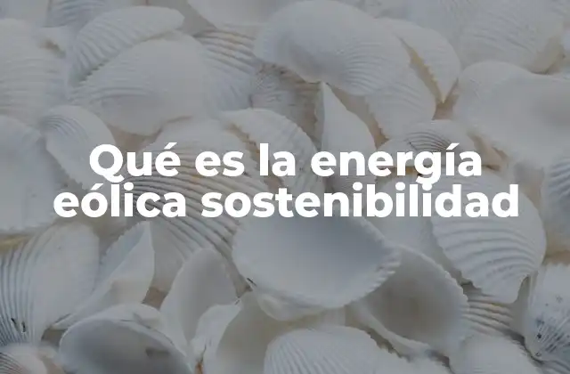 Qué es la Energía Eólica Sostenibilidad 2 El rol de la energía eólica en la transición energética