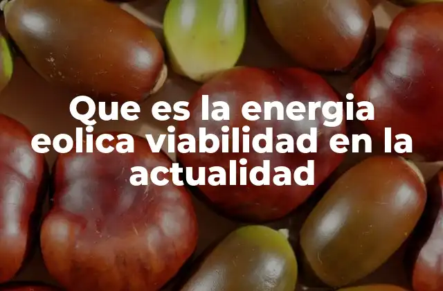 Que es la Energia Eolica Viabilidad en la Actualidad