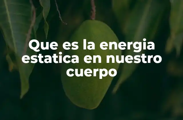 Que es la Energia Estatica en Nuestro Cuerpo