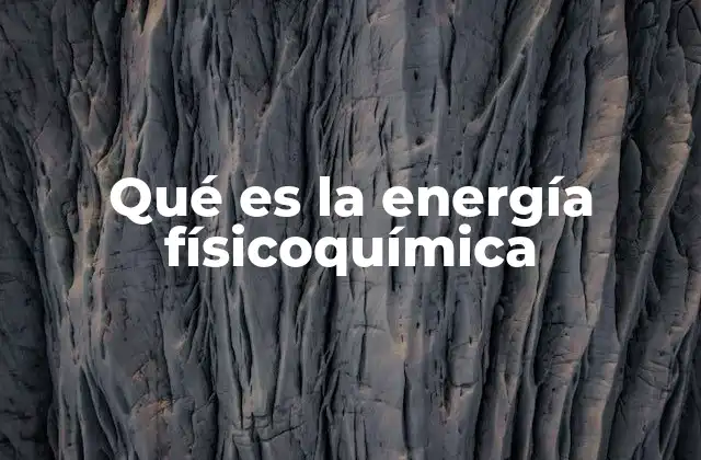Qué es la Energía Físicoquímica