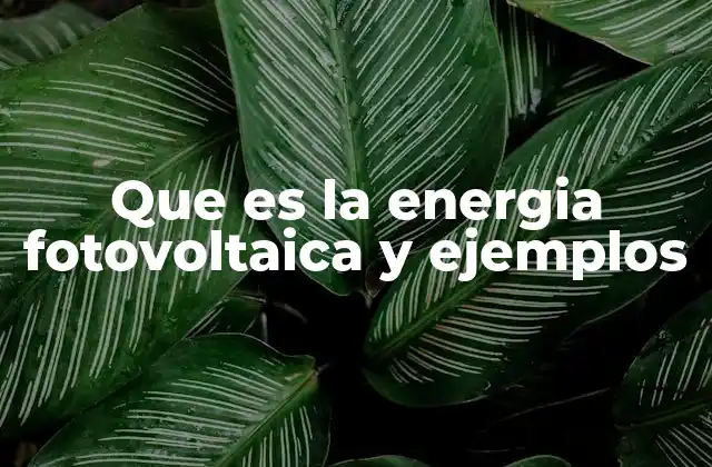 Que es la Energia Fotovoltaica y Ejemplos