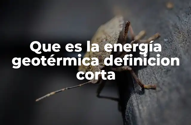 Que es la Energía Geotérmica Definicion Corta