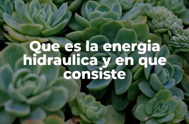 Que es la Energia Hidraulica y en que Consiste