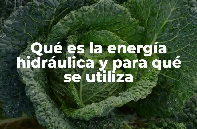 Qué es la Energía Hidráulica y para Qué Se Utiliza