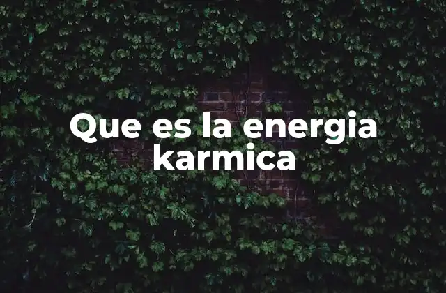 Que es la Energia Karmica