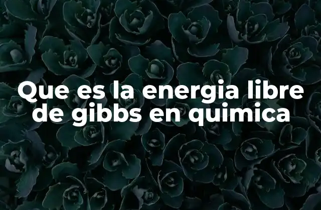 Que es la Energia Libre de Gibbs en Quimica