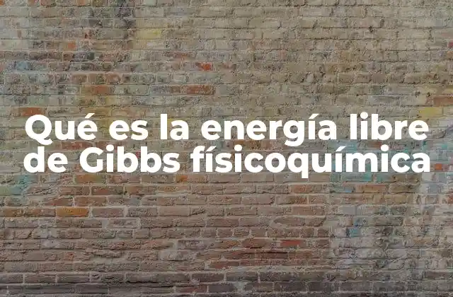Qué es la Energía Libre de Gibbs Físicoquímica