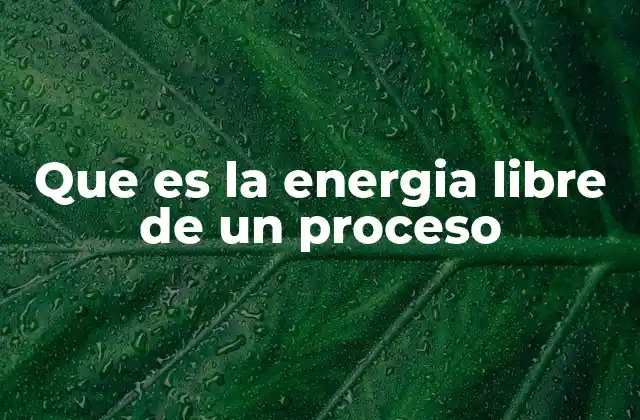 Que es la Energia Libre de un Proceso