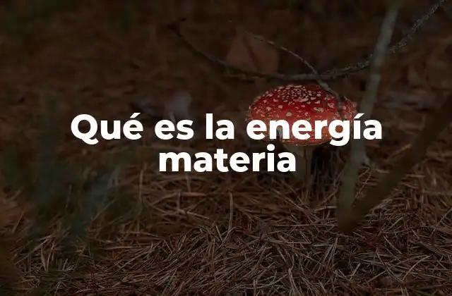 Qué es la Energía Materia