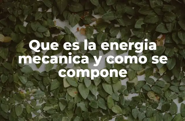 Que es la Energia Mecanica y como Se Compone