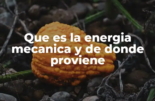 Orígenes y fuentes de la energía mecánica