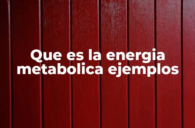 Que es la Energia Metabolica Ejemplos