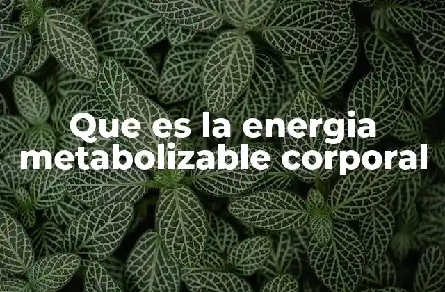 Que es la Energia Metabolizable Corporal
