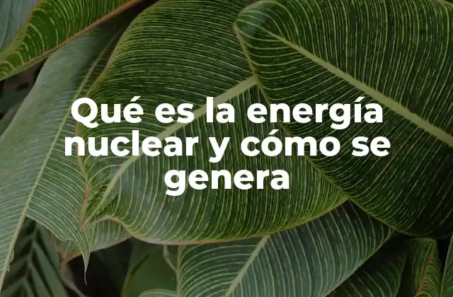 Qué es la Energía Nuclear y Cómo Se Genera