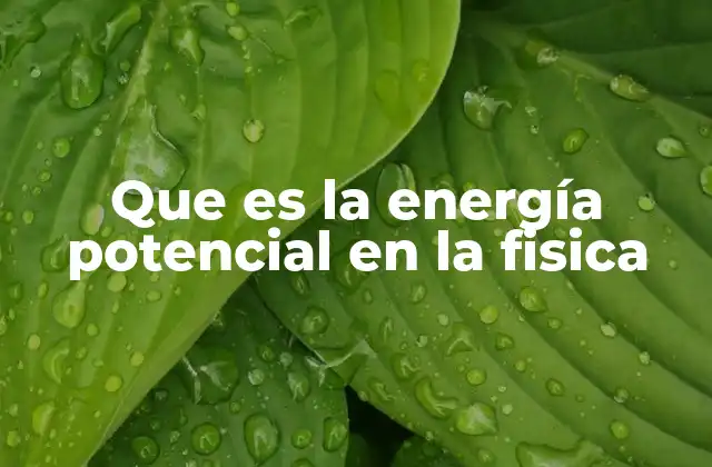 Que es la Energía Potencial en la Fisica