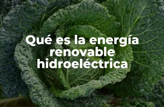 Qué es la Energía Renovable Hidroeléctrica