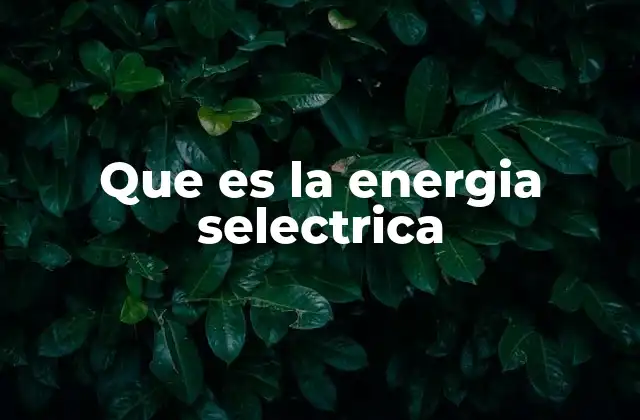 Que es la Energia Selectrica