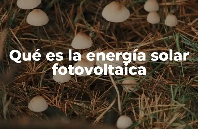 Qué es la Energía Solar Fotovoltaica