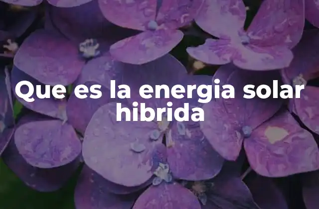 Que es la Energia Solar Hibrida
