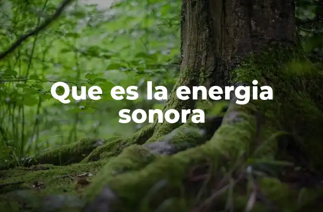 Que es la Energia Sonora