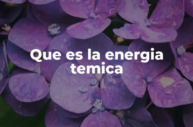 Que es la Energia Temica