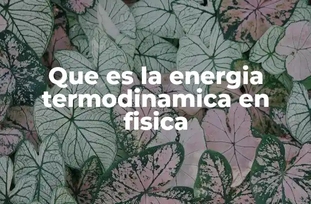 Que es la Energia Termodinamica en Fisica
