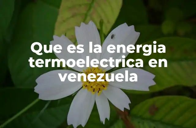 Que es la Energia Termoelectrica en Venezuela