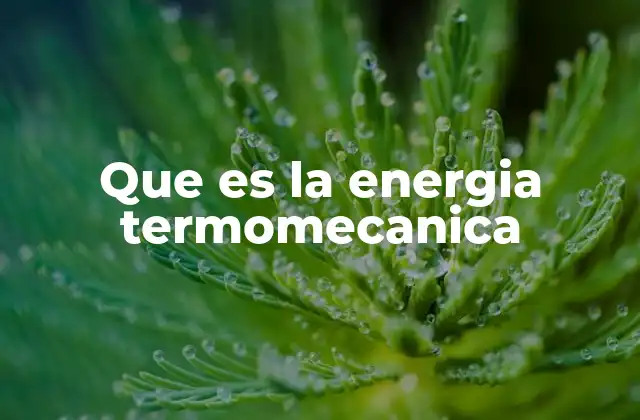 Que es la Energia Termomecanica